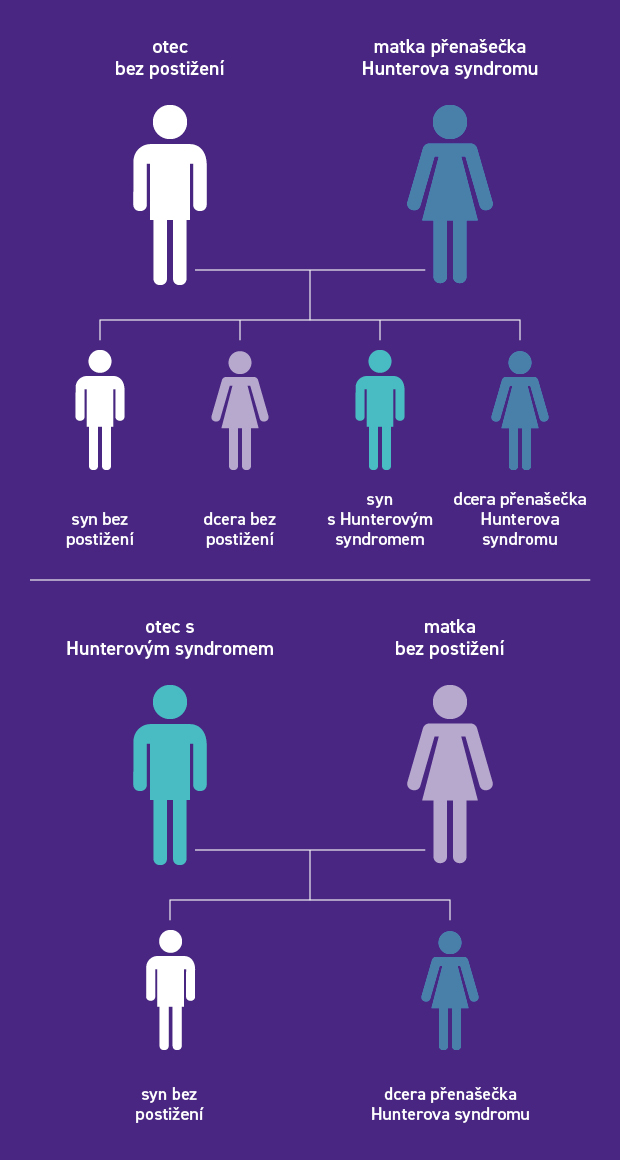 Hunterův syndrom - dědičnost